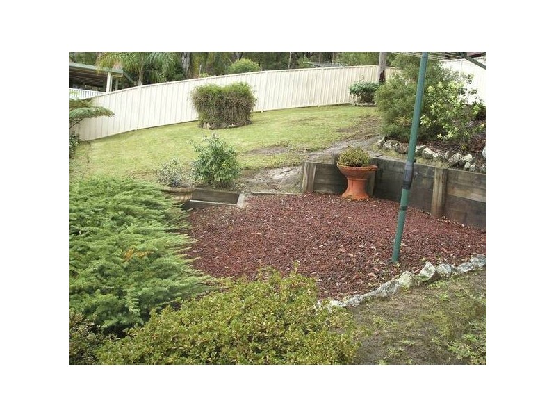 Tingira Heights NSW 2290