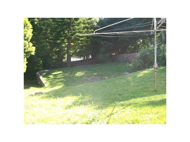 Adamstown Heights NSW 2289