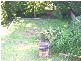 Adamstown Heights NSW 2289