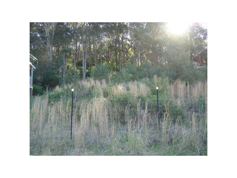 Caves Beach NSW 2281