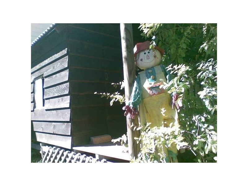 74 Lindesay Street, East Maitland NSW 2323