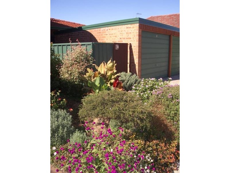 Denison Street, Hamilton NSW 2303