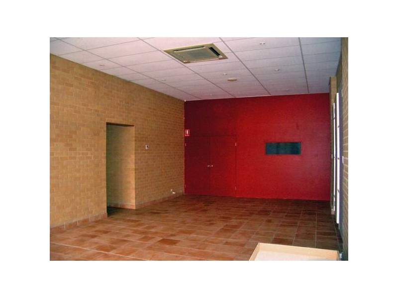 17 Beaumont Street, Islington NSW 2296