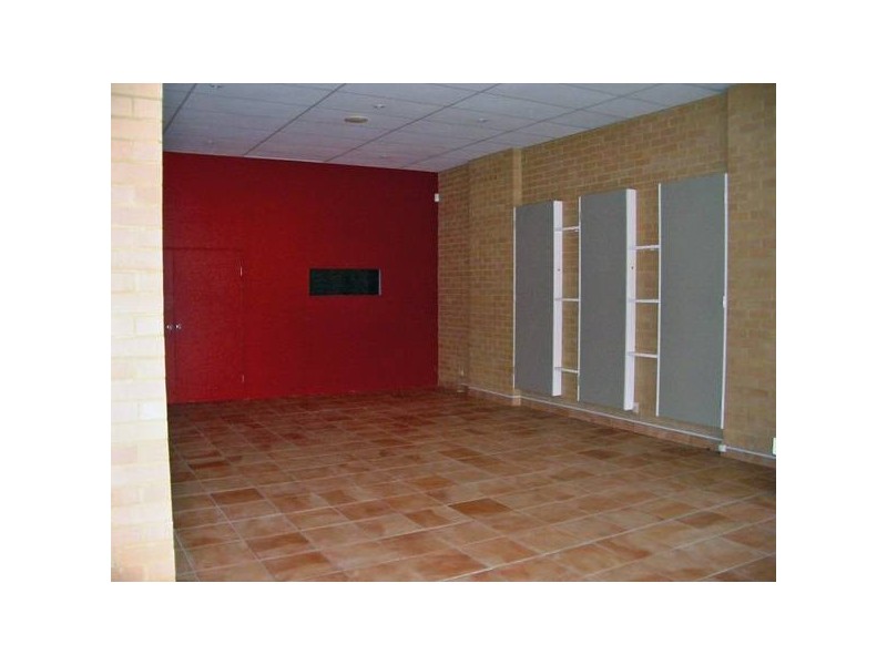 17 Beaumont Street, Islington NSW 2296