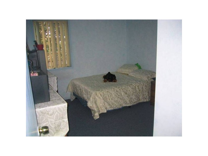 New Lambton NSW 2305