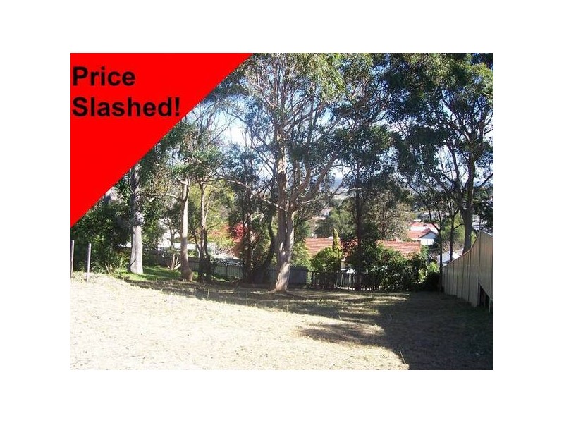 Birmingham Gardens NSW 2287