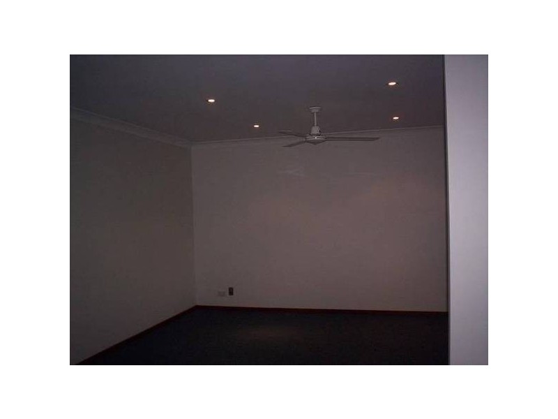 41 Holt Street, Mayfield NSW 2304