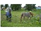 Tarro NSW 2322