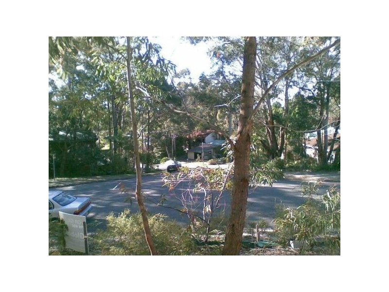 Lemon Tree Passage NSW 2319