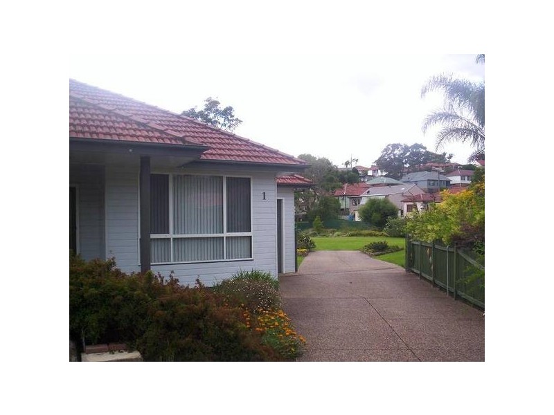 1 Randall Parade, Adamstown Heights NSW 2289