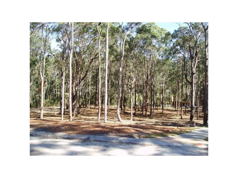 New Lambton Heights NSW 2305