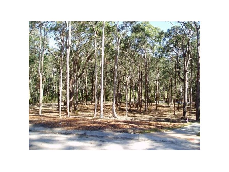 New Lambton Heights NSW 2305