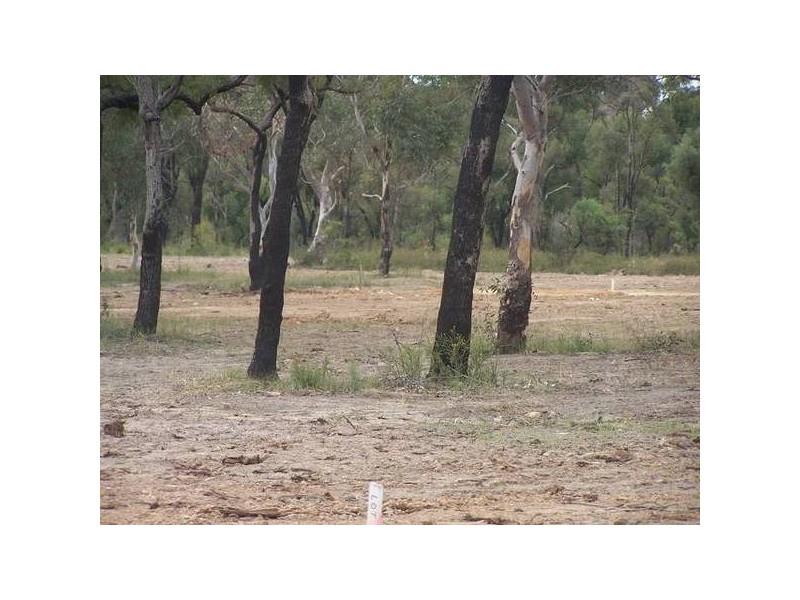 Heddon Greta NSW 2321