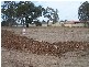 Heddon Greta NSW 2321