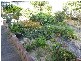1 Park Street, Charlestown NSW 2290