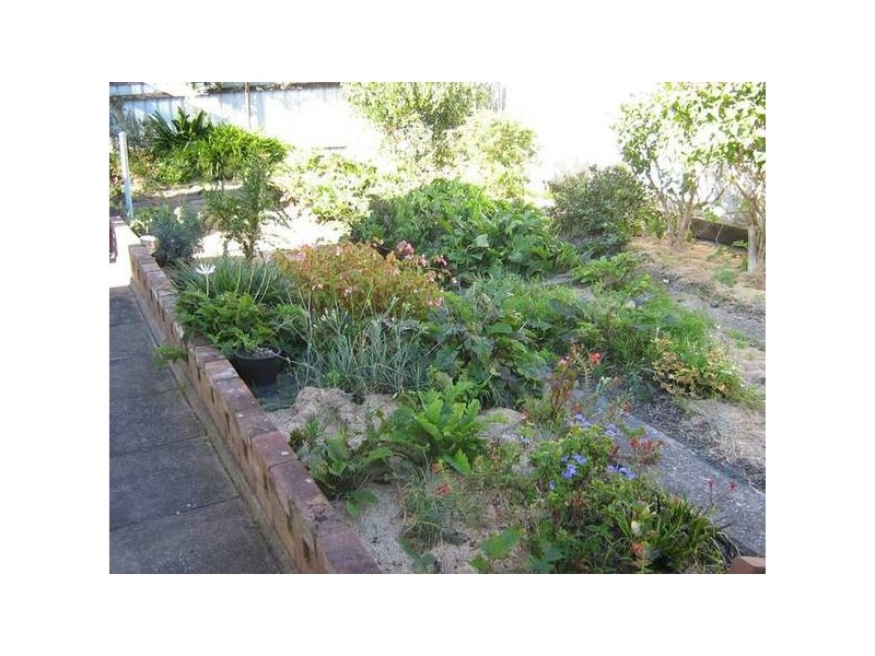 1 Park Street, Charlestown NSW 2290