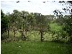 Shortland NSW 2307