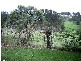 Shortland NSW 2307