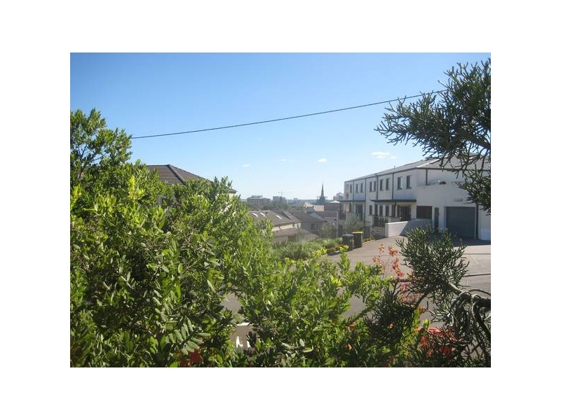 1/1 Mosbri Crescent, The Hill NSW 2300