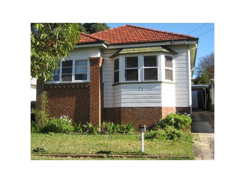 73 Harriett Street, Waratah NSW 2298