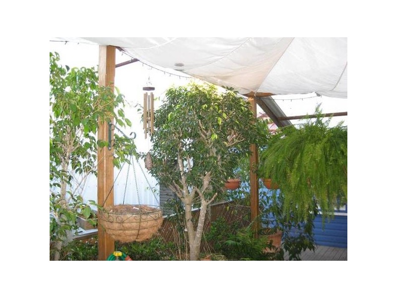 108 Dibbs Street, Adamstown NSW 2289