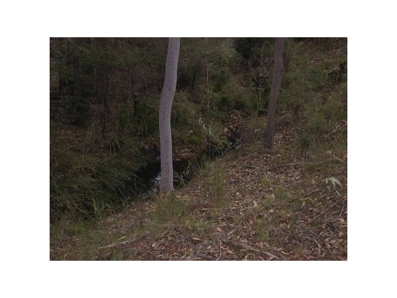 Limeburners Creek NSW 2324