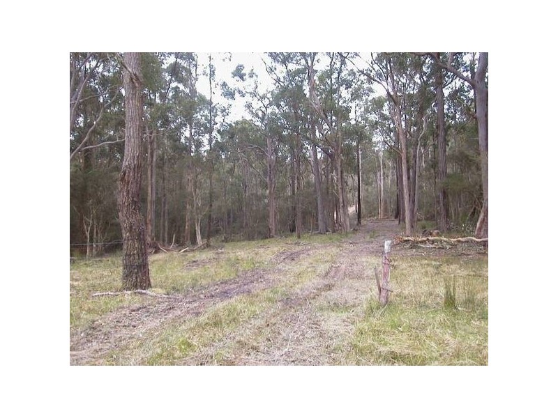 Limeburners Creek NSW 2324