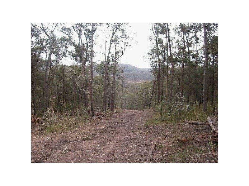 Limeburners Creek NSW 2324
