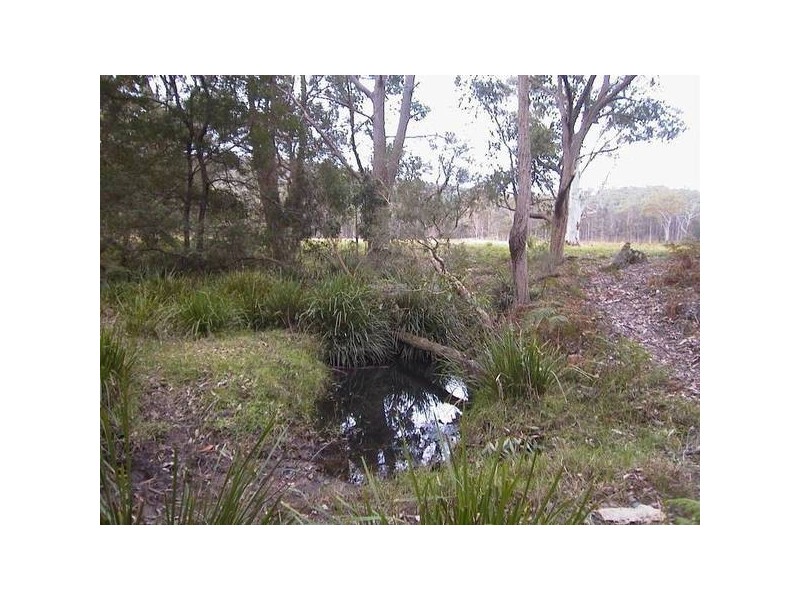 Limeburners Creek NSW 2324