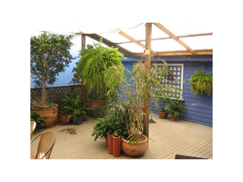 108 Dibbs Street, Adamstown NSW 2289