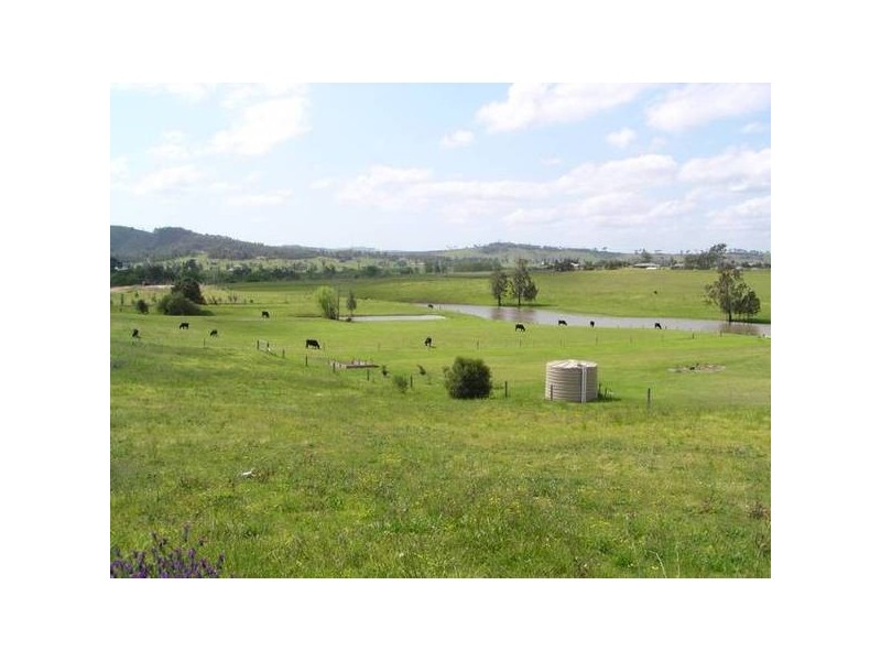 Aberglasslyn NSW 2320