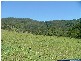 Monkerai NSW 2415