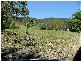 Monkerai NSW 2415