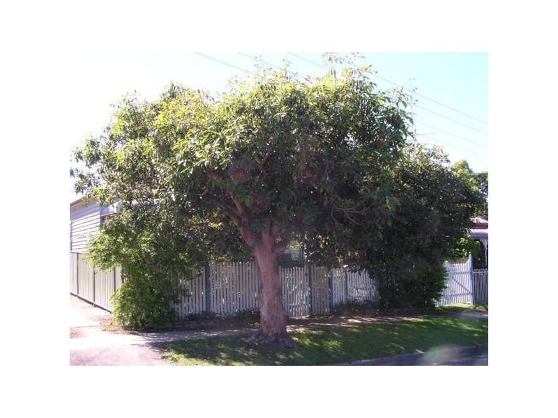 East Maitland NSW 2323