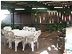 Raymond Terrace NSW 2324