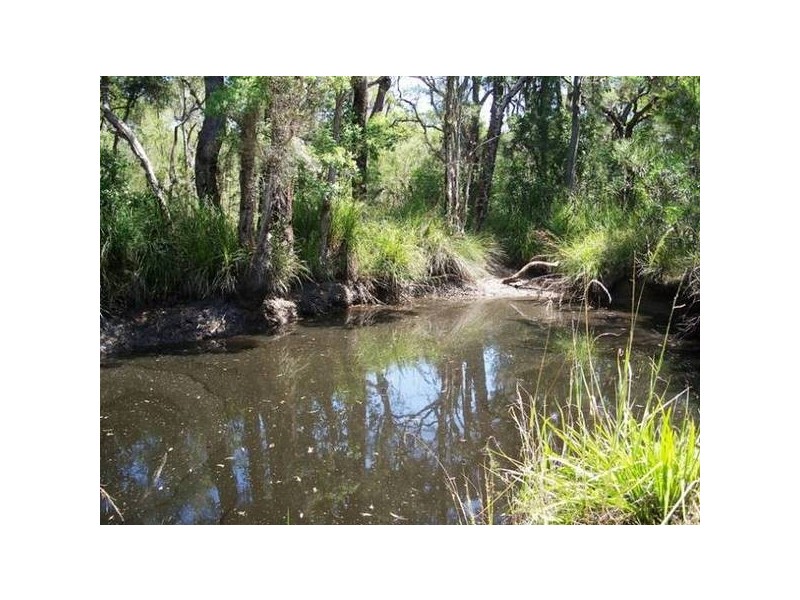 Twelve Mile Creek NSW 2324