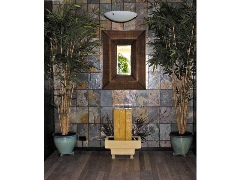 Lemon Tree Passage NSW 2319