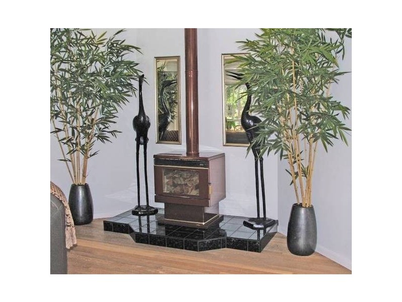 Lemon Tree Passage NSW 2319