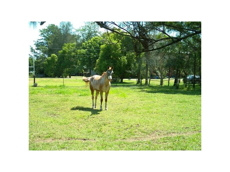 Raymond Terrace NSW 2324