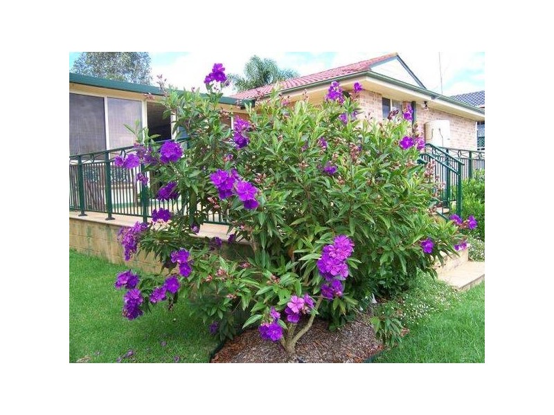 Raymond Terrace NSW 2324