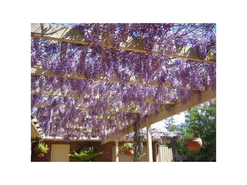 Ashtonfield NSW 2323