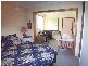 50 Mowbray Lane, Paterson NSW 2421