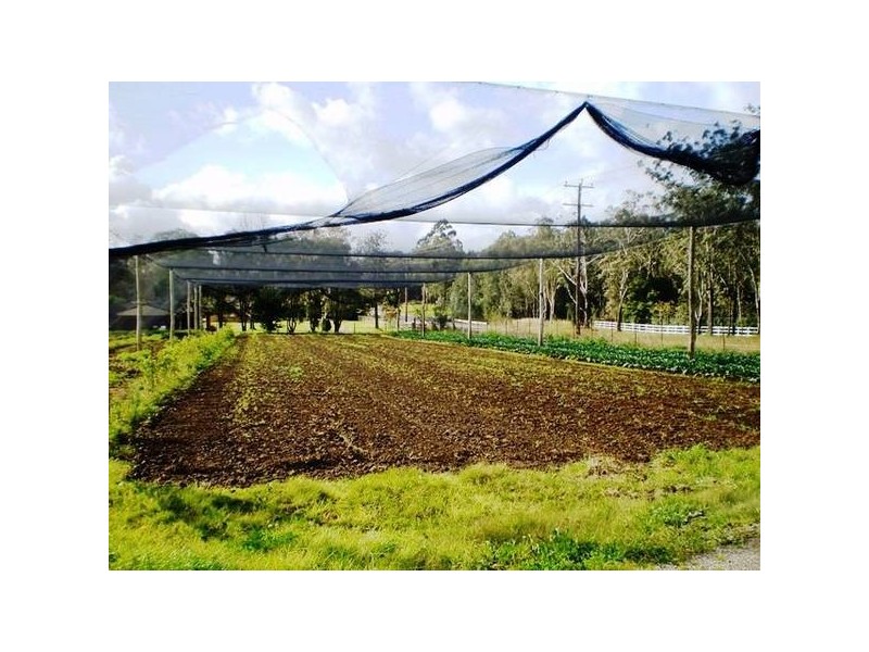 Medowie NSW 2318