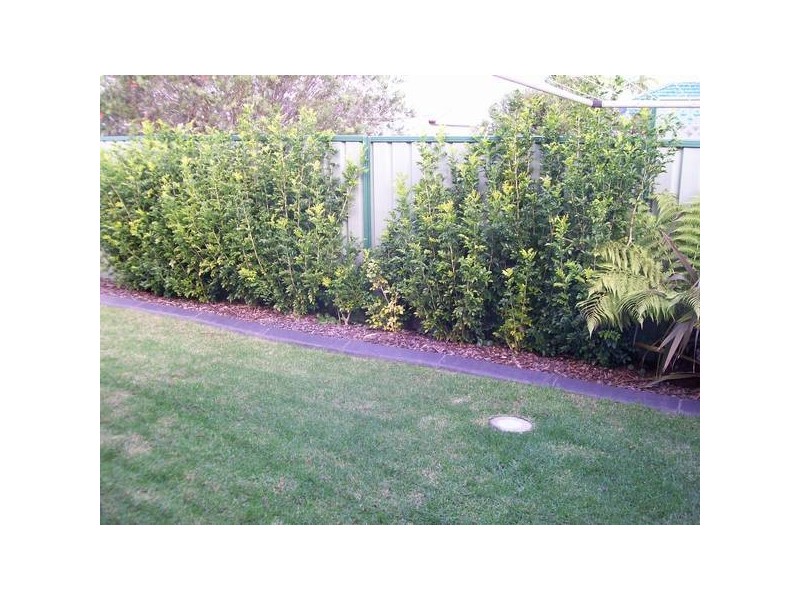 Belmont North NSW 2280