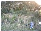 Caves Beach NSW 2281