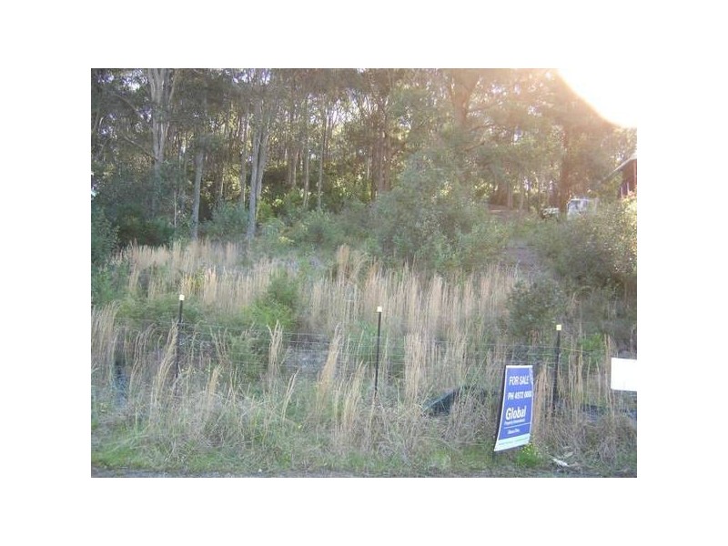 Caves Beach NSW 2281