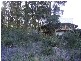 Caves Beach NSW 2281