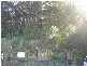 Caves Beach NSW 2281