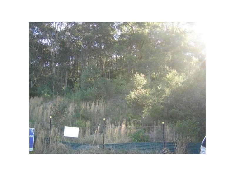 Caves Beach NSW 2281