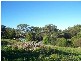 Whitebridge NSW 2290
